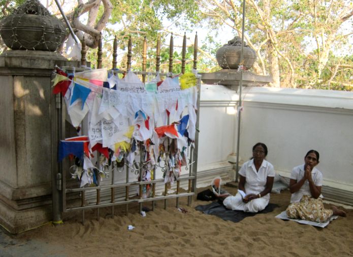 Моление у святого дерева.  Анурадхапура. Шри-Ланка. Фото Лимарева В.Н.