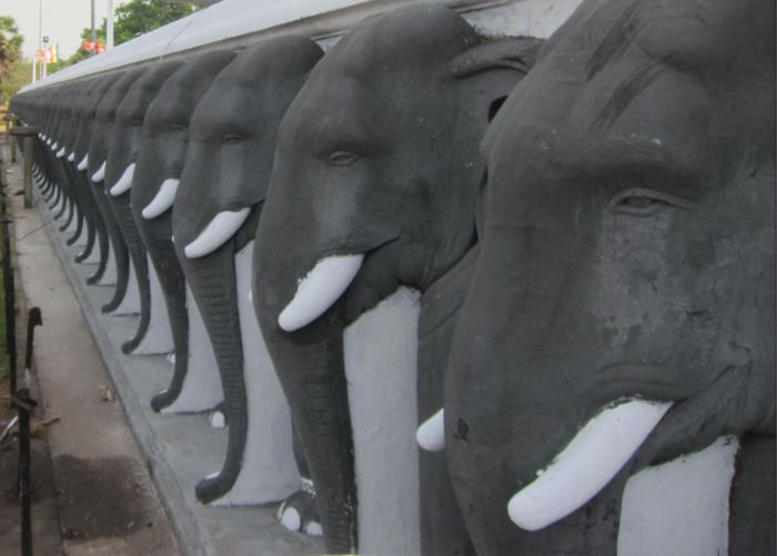 Алея слонов. Шри Ланка. АНУРАДХАПУРА. Ступа Руванмели. Фото Лимарева В.Н. 
