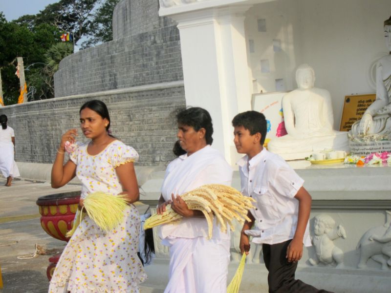 Приподношение буддийской святыне в Анурадхапуре. Шри-Ланка. (Фото Лимарева В.Н.)