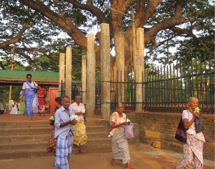 Паломники у входа в монастырь Махавихара. Анурадхапура. Шри-Ланка.  Фото Лимарева В.Н. 
